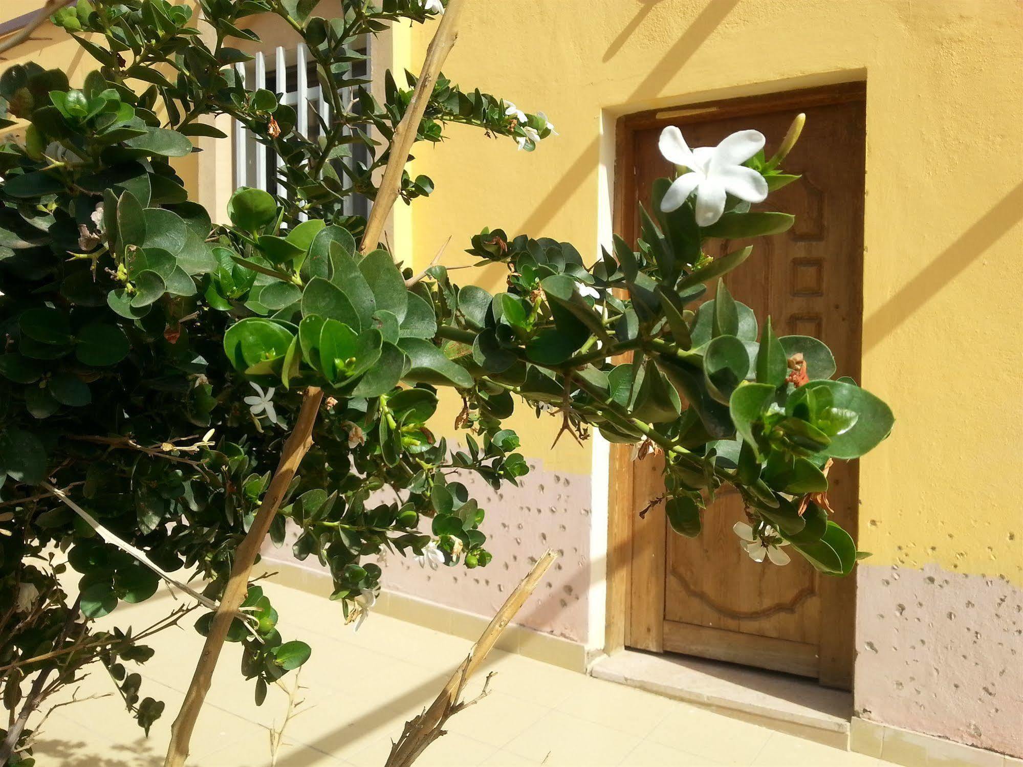 Darna Village Beach Hostel Al Burj Extérieur photo