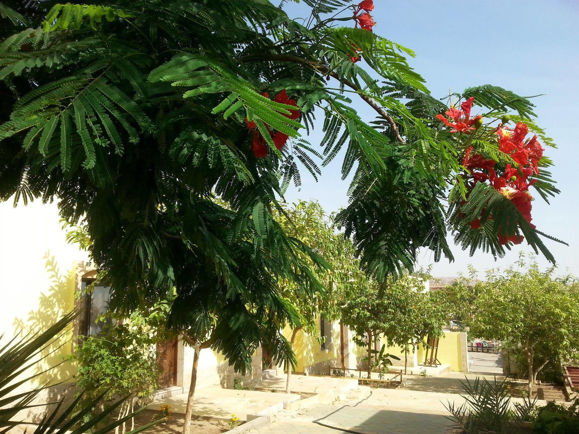 Darna Village Beach Hostel Al Burj Extérieur photo